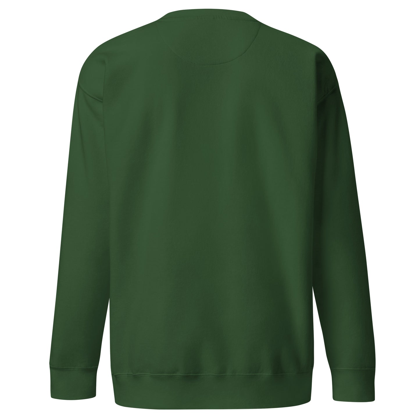 Private ≠ Public statement crewneck green bold privacy sweatshirt back view