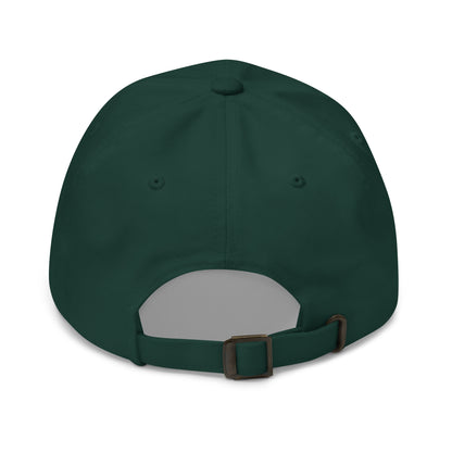 FORGIVE Hat back view 