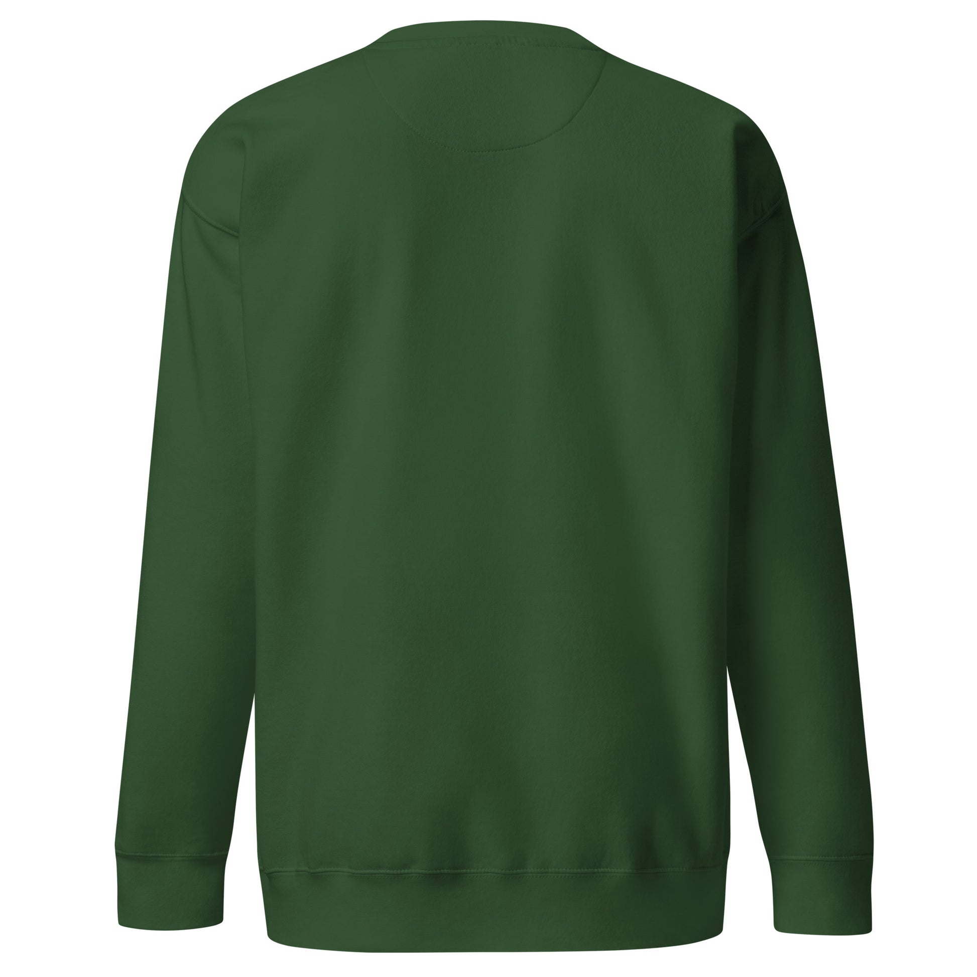 Private ≠ Public statement crewneck green bold privacy sweatshirt back view