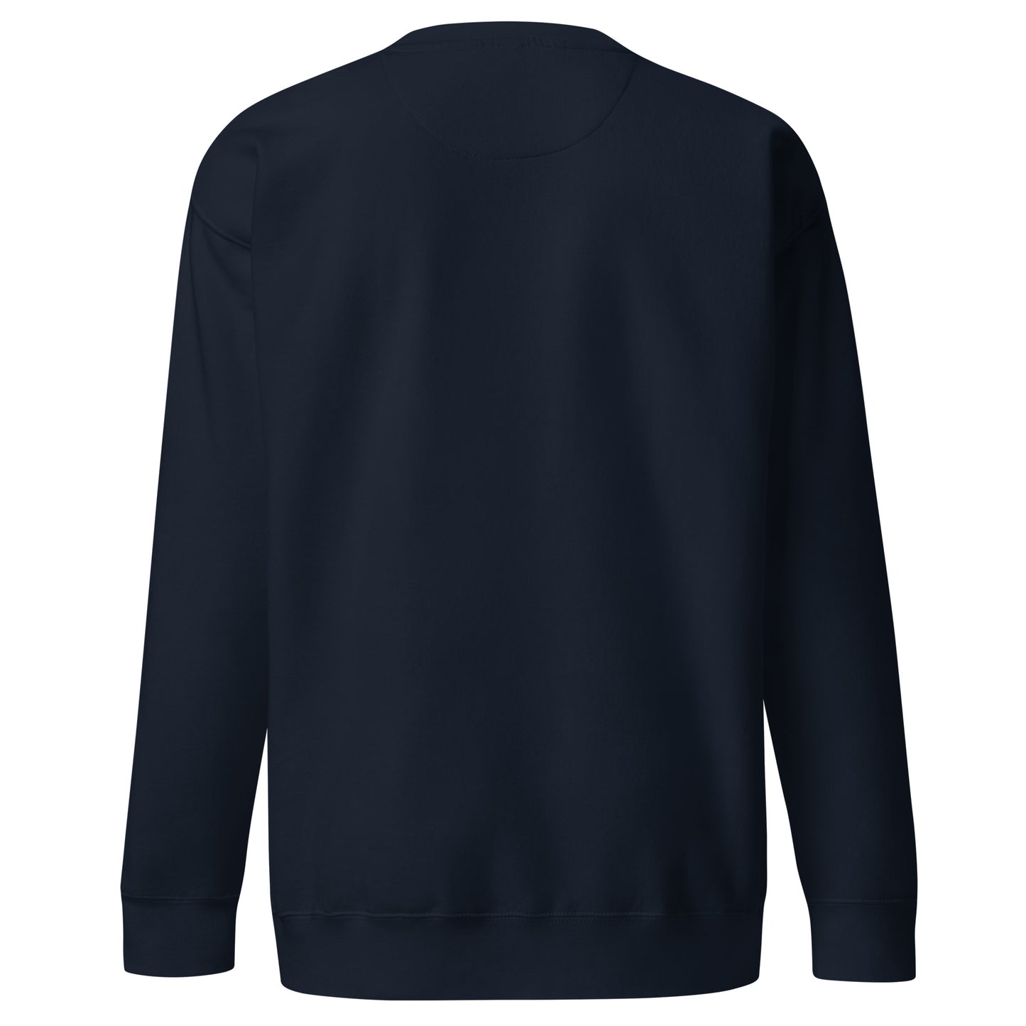 Private ≠ Public statement crewneck blue bold privacy sweatshirt back view